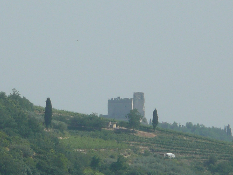Immagine 16 di Terreno in vendita  a Tregnago