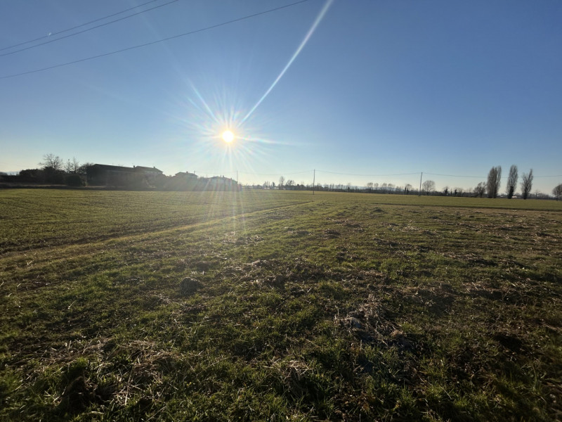 Immagine 2 di Terreno in vendita  in Via Barchesa a Campodoro