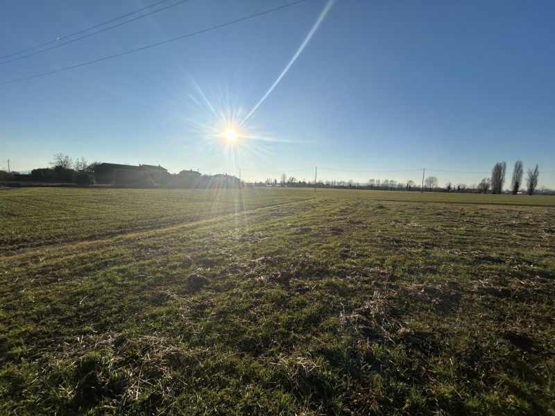 Immagine 3 di Terreno in vendita  in Via Barchesa a Campodoro