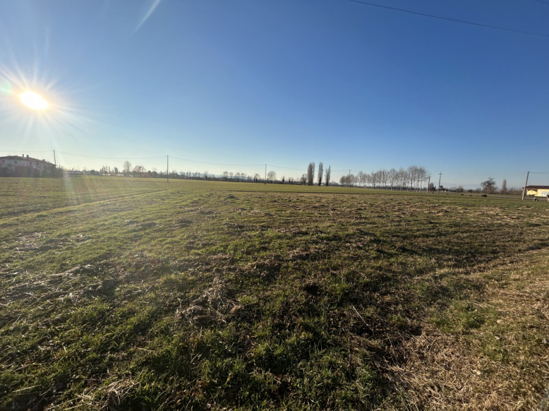 Immagine 4 di Terreno in vendita  in Via Barchesa a Campodoro