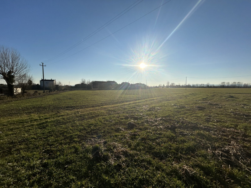 Immagine 5 di Terreno in vendita  in Via Barchesa a Campodoro