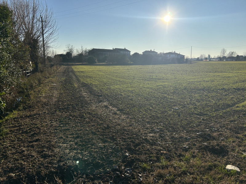 Immagine 6 di Terreno in vendita  in Via Barchesa a Campodoro