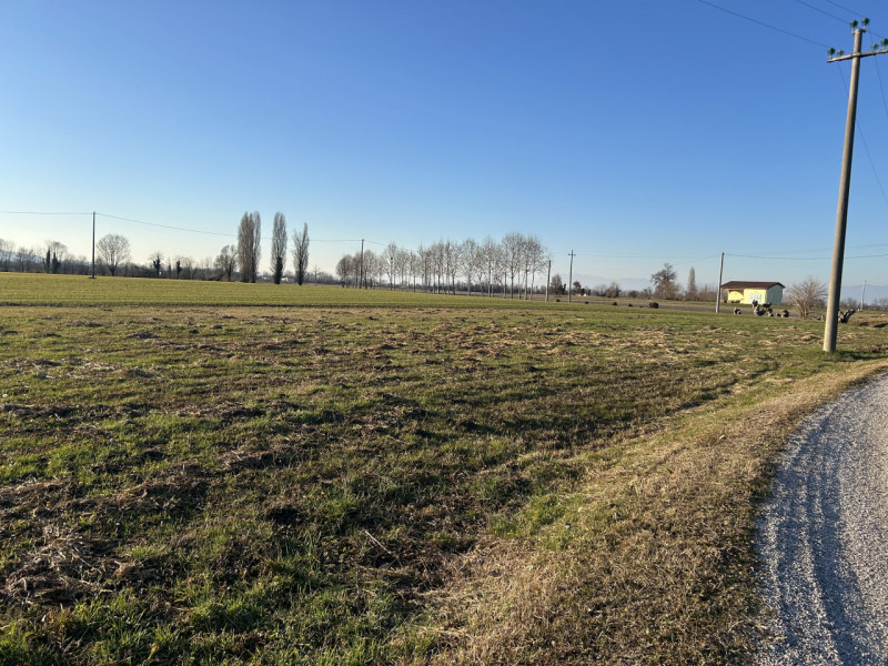 Immagine 7 di Terreno in vendita  in Via Barchesa a Campodoro