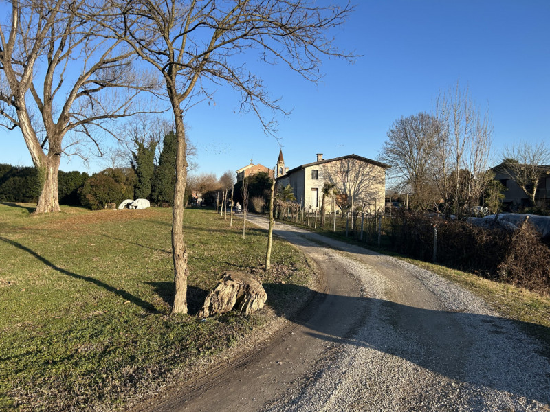 Immagine 11 di Terreno in vendita  in Via Barchesa a Campodoro