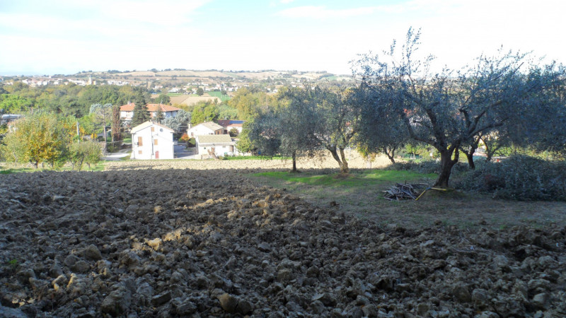 Immagine 3 di Terreno in vendita  a Senigallia