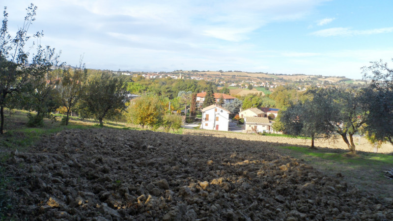 Immagine 4 di Terreno in vendita  a Senigallia