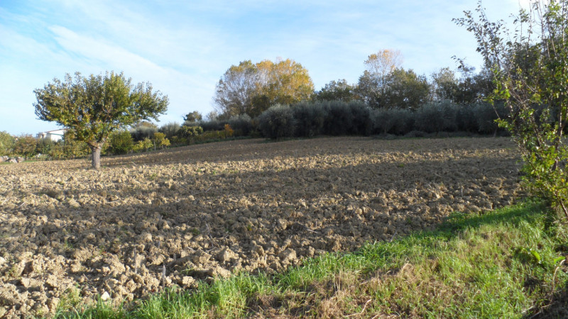 Immagine 5 di Terreno in vendita  a Senigallia