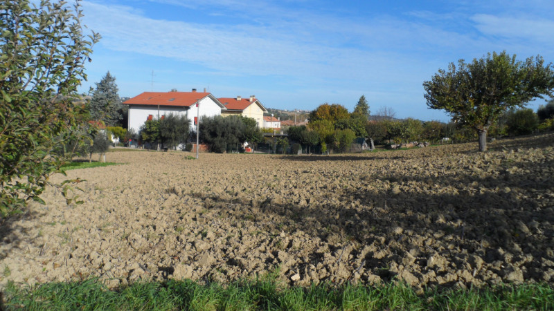 Immagine 6 di Terreno in vendita  a Senigallia