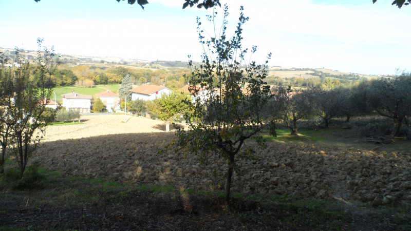 Immagine 7 di Terreno in vendita  a Senigallia