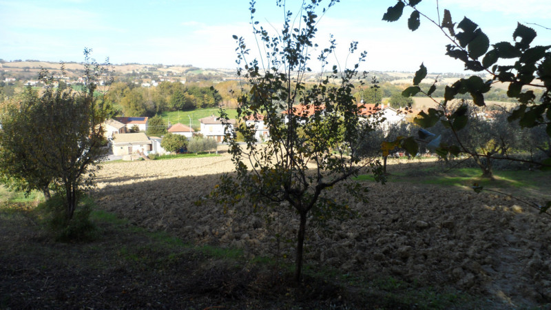 Immagine 8 di Terreno in vendita  a Senigallia