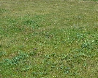 Immagine 1 di Terreno in vendita  a Tavoleto