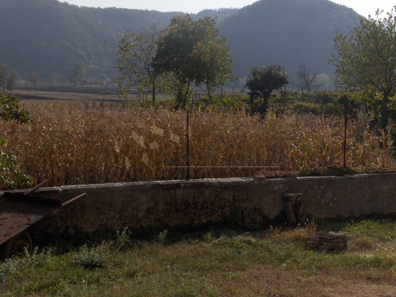 Immagine 7 di Rustico / casale in vendita  a Arcugnano