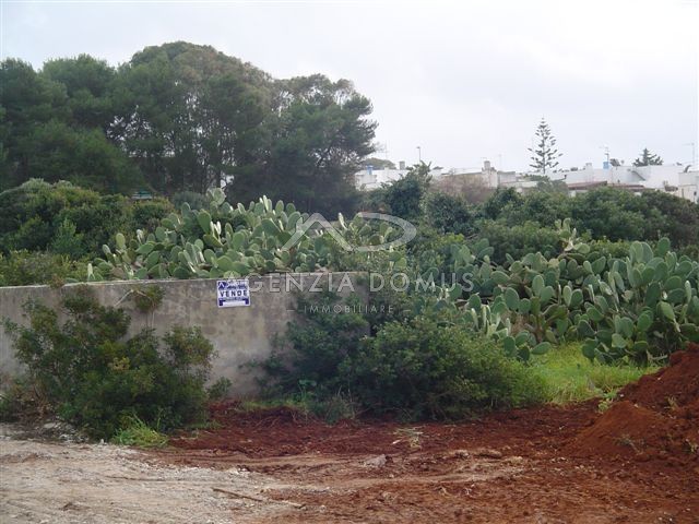 Immagine 2 di Terreno in vendita  in via ortles a Racale