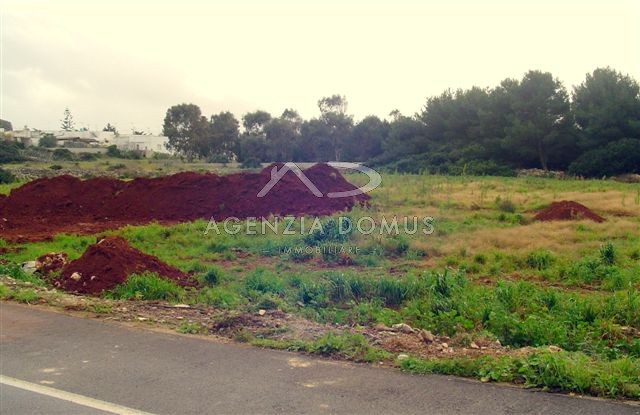 Immagine 3 di Terreno in vendita  in via ortles a Racale