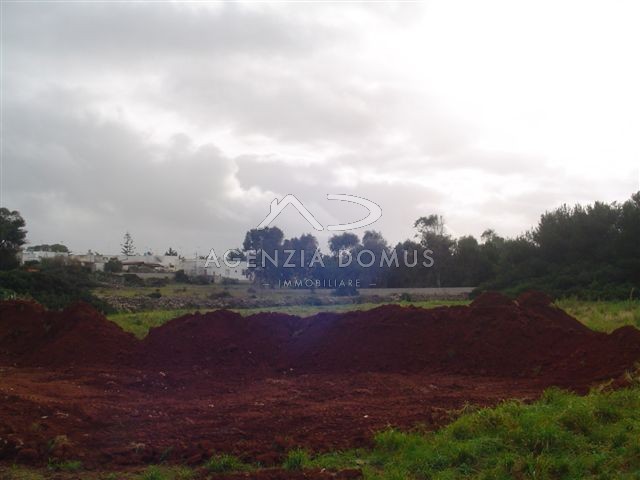 Immagine 4 di Terreno in vendita  in via ortles a Racale