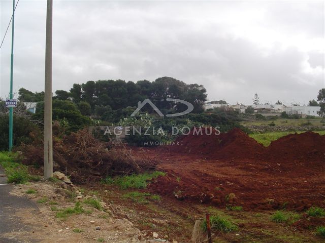 Immagine 5 di Terreno in vendita  in via ortles a Racale