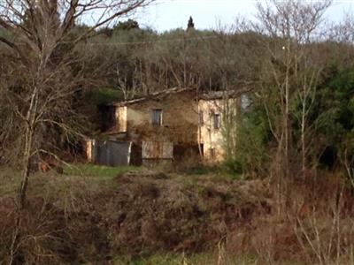 Immagine 3 di Rustico / casale in vendita  in Via Meleto a Saludecio