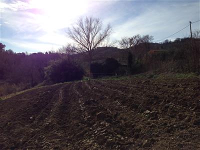 Immagine 4 di Rustico / casale in vendita  in Via Meleto a Saludecio