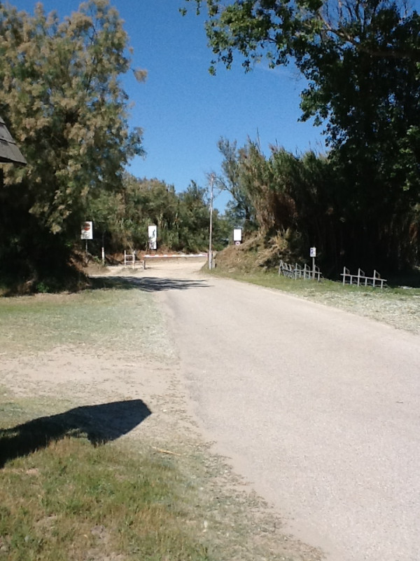 Immagine 20 di Casa indipendente in affitto  in DECIMA EST a Rosolina