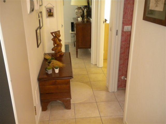 Immagine 4 di Appartamento in vendita  a Trecastelli