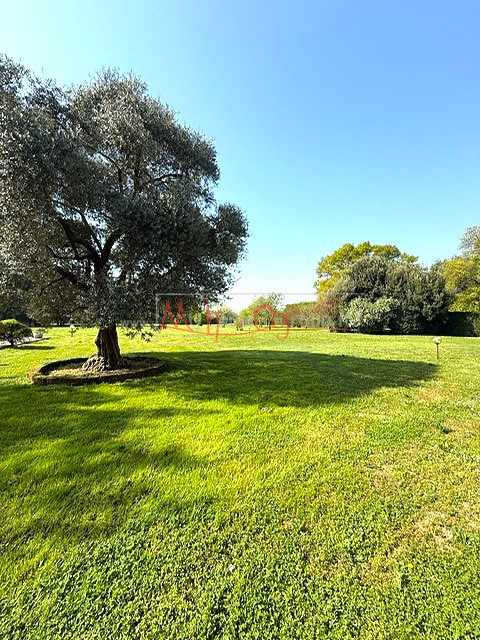 Immagine 2 di Villa in vendita  a Selvazzano Dentro