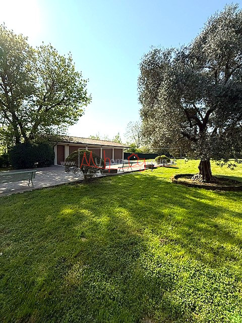 Immagine 5 di Villa in vendita  a Selvazzano Dentro