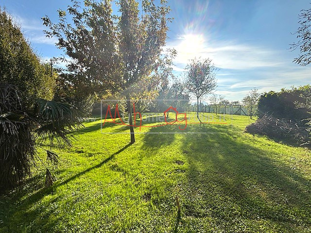 Immagine 2 di Casa indipendente in vendita  in Via Rondinelle a Selvazzano Dentro