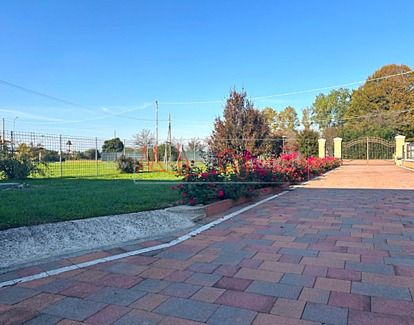 Immagine 7 di Casa indipendente in vendita  in Via Rondinelle a Selvazzano Dentro