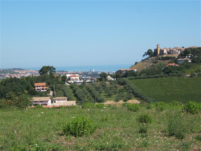 Immagine 1 di Terreno in vendita  in C.DA COLLEVENTO a Montesilvano