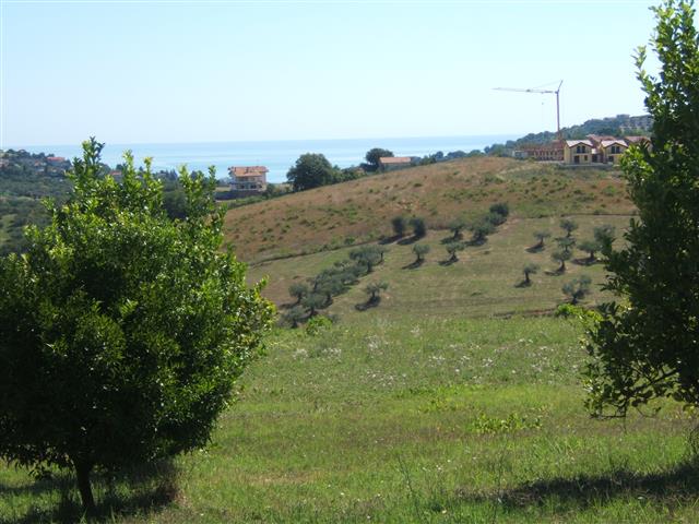 Immagine 2 di Terreno in vendita  in C.DA COLLEVENTO a Montesilvano