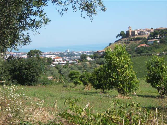 Immagine 3 di Terreno in vendita  in C.DA COLLEVENTO a Montesilvano