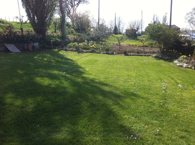 Immagine 20 di Casa indipendente in vendita  a Montecarotto