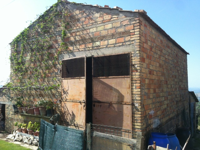 Immagine 21 di Casa indipendente in vendita  a Montecarotto