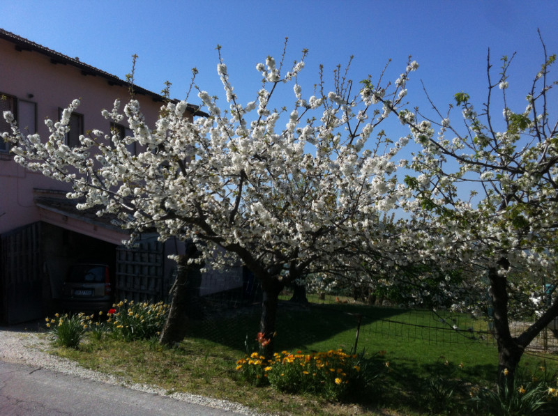 Immagine 28 di Casa indipendente in vendita  a Montecarotto