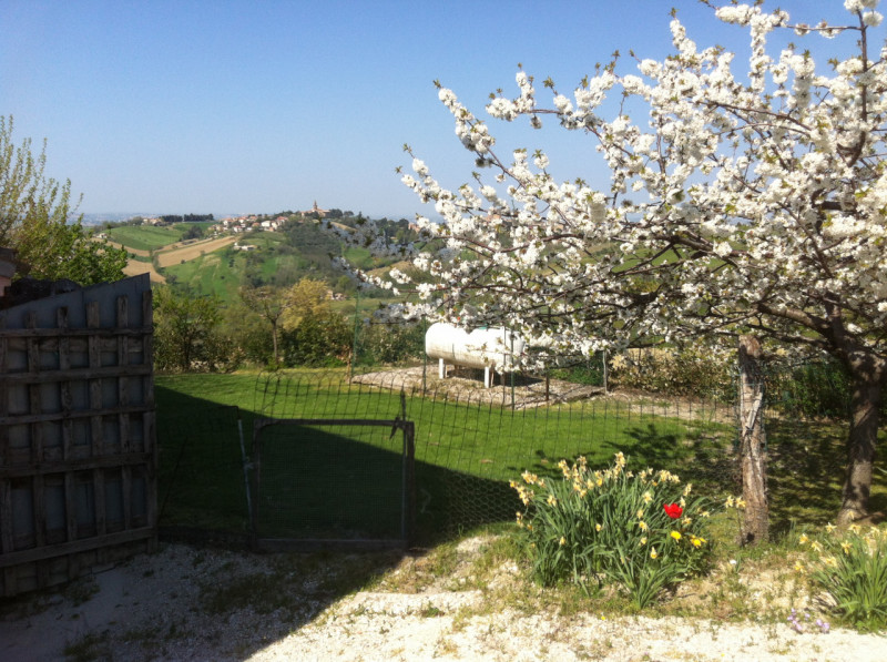 Immagine 30 di Casa indipendente in vendita  a Montecarotto
