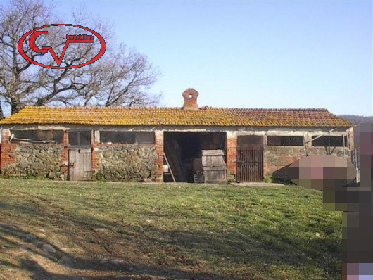 Immagine 3 di Rustico / casale in vendita  in Pietraviva, 1 a Bucine