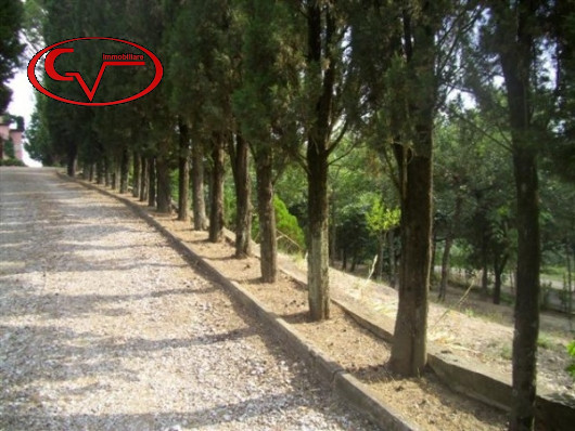 Immagine 9 di Villa in vendita  in noferi a Montevarchi