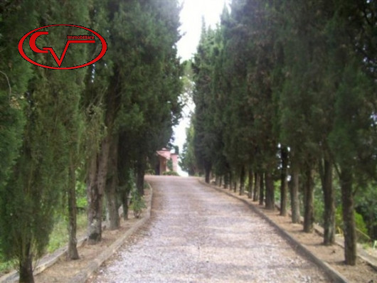 Immagine 10 di Villa in vendita  in noferi a Montevarchi