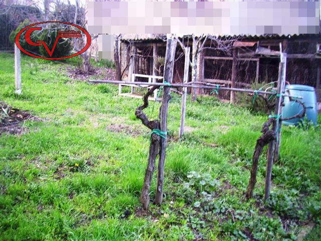 Immagine 11 di Villa in vendita  in Via oberdan a Bucine