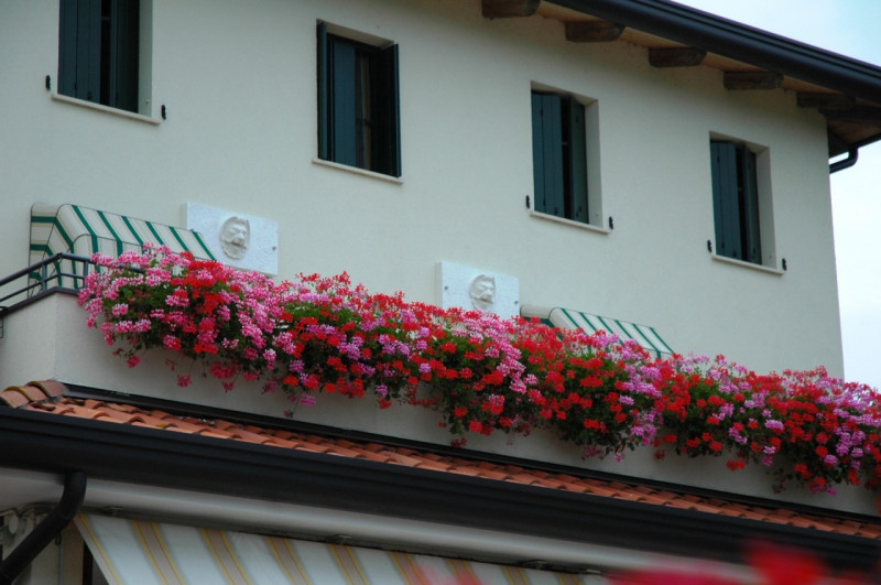 Immagine 7 di Attività commerciale in vendita  a San Michele Al Tagliamento