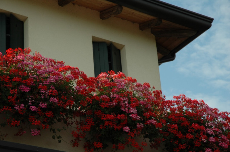 Immagine 13 di Attività commerciale in vendita  a San Michele Al Tagliamento