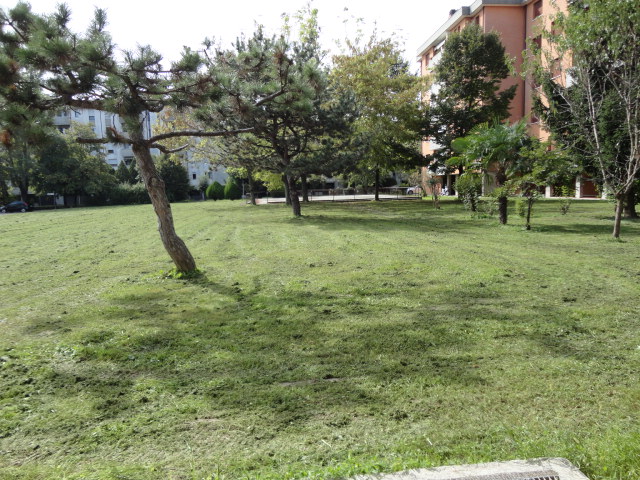 Immagine 11 di Ufficio in vendita  in Via Noventa a Cadoneghe