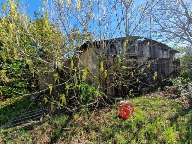 Immagine 6 di Rustico / casale in vendita  in Via Campagne a Bovolone