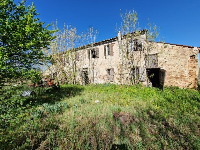 Immagine 8 di Rustico / casale in vendita  in Via Campagne a Bovolone