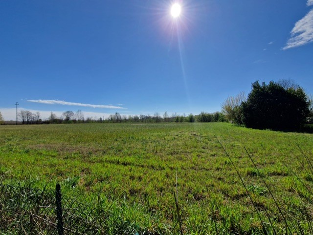 Immagine 12 di Rustico / casale in vendita  in Via Campagne a Bovolone