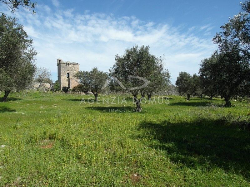 Immagine 2 di Terreno in vendita  a Racale
