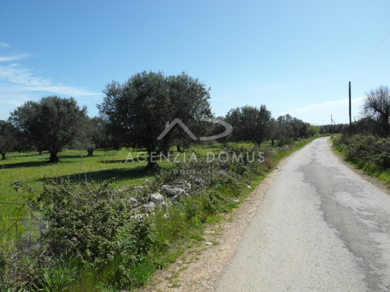 Immagine 3 di Terreno in vendita  a Racale