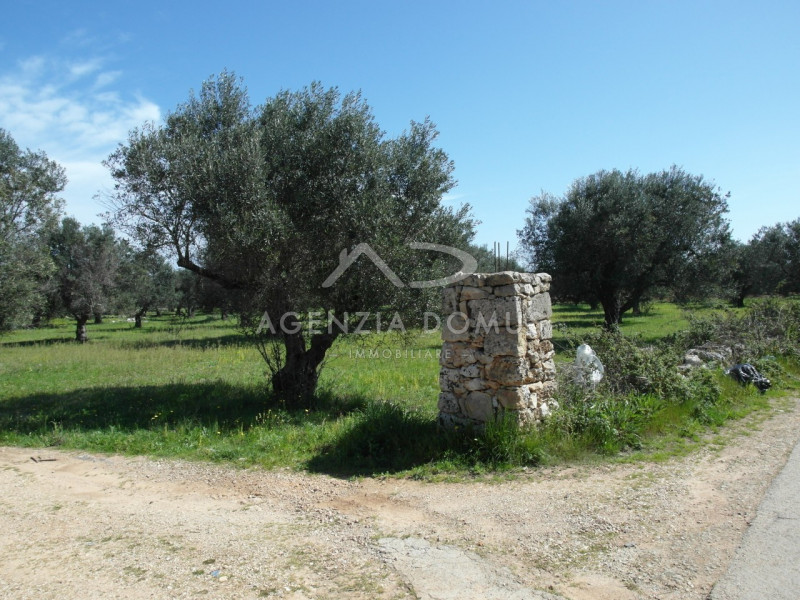 Immagine 4 di Terreno in vendita  a Racale