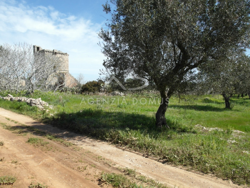 Immagine 7 di Terreno in vendita  a Racale
