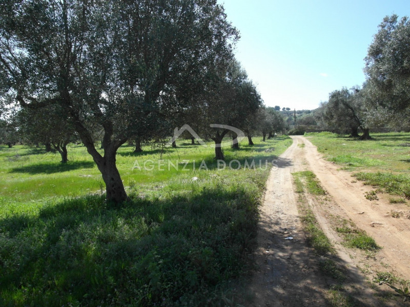 Immagine 8 di Terreno in vendita  a Racale